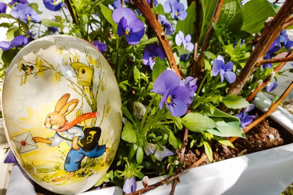 Violette Stiefmütterchen blühen in einem weißen Topf, im Vordergrund liegt ein Dekoei mit einem Osterhasen-Motiv darauf
