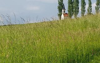 Wanderweg durch Wiese am Gniebingberg, im Hintergrund die Kapelle