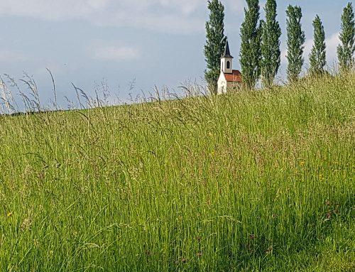 Auf den Spuren der Vulkane