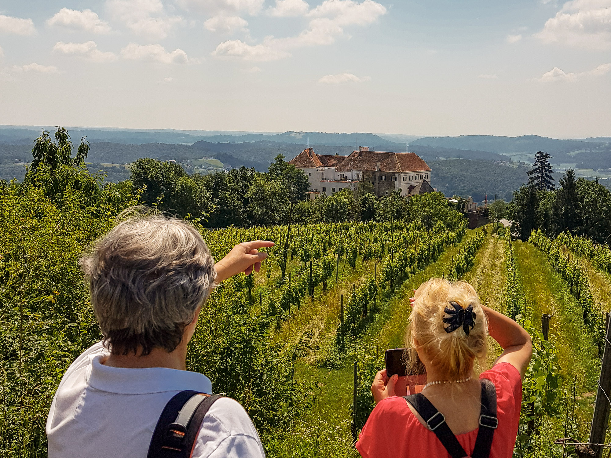 Wandergruppe blickt auf Weingarten und Schloss Kapfenstein