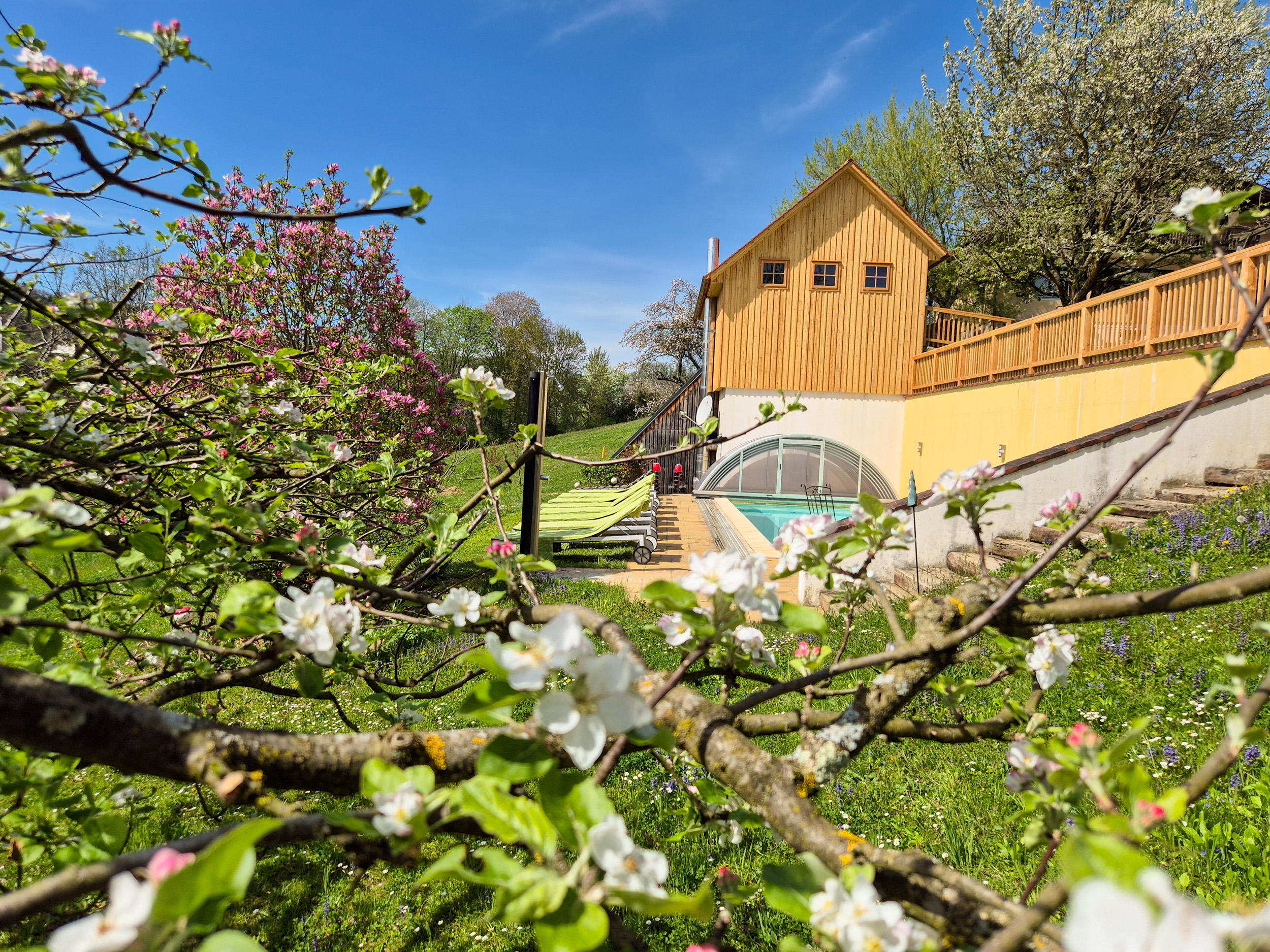 Gartenliegen stehen in dier Wiese am Außenpool, im Vordergrund blüht ein Apfelbaum.