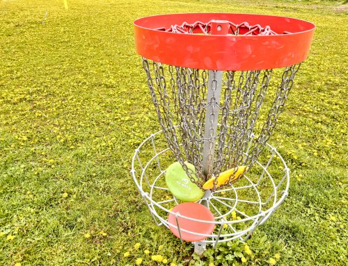 Discgolf spielen in Feldbach