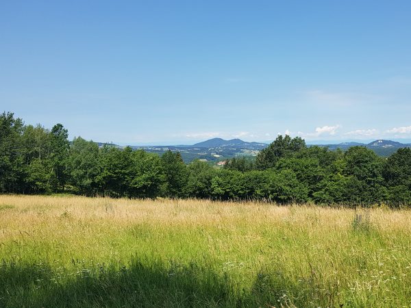 Blick Gleichenberger Kogel Blick Gleichenberger Kogel