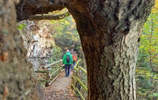 der Weg durch den Vulkan am Kaskögerl