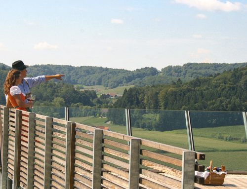 Picknick am Lieblingsplatz