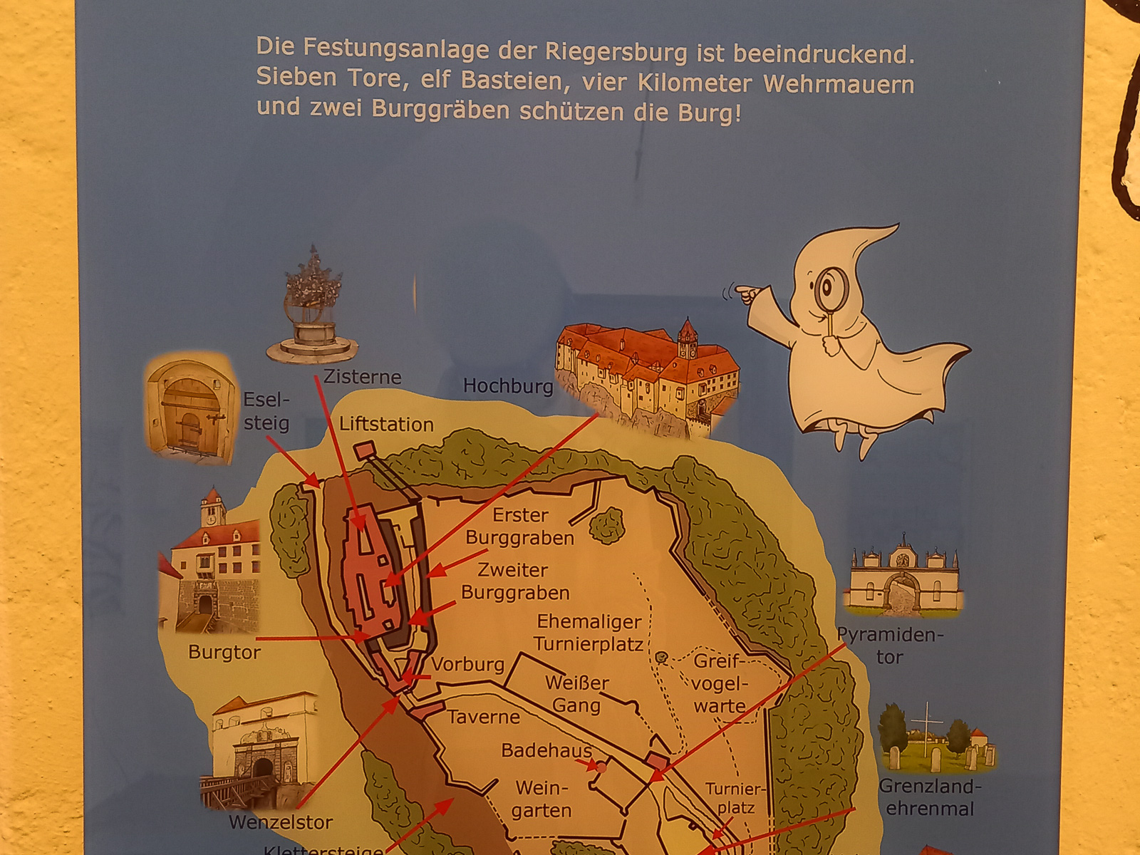 Maskottchen Rüdiger erklärt die Riegersburg