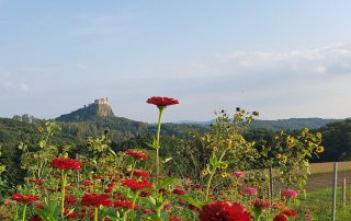 Blick auf die Riegersburg im kulinarischen Herbst