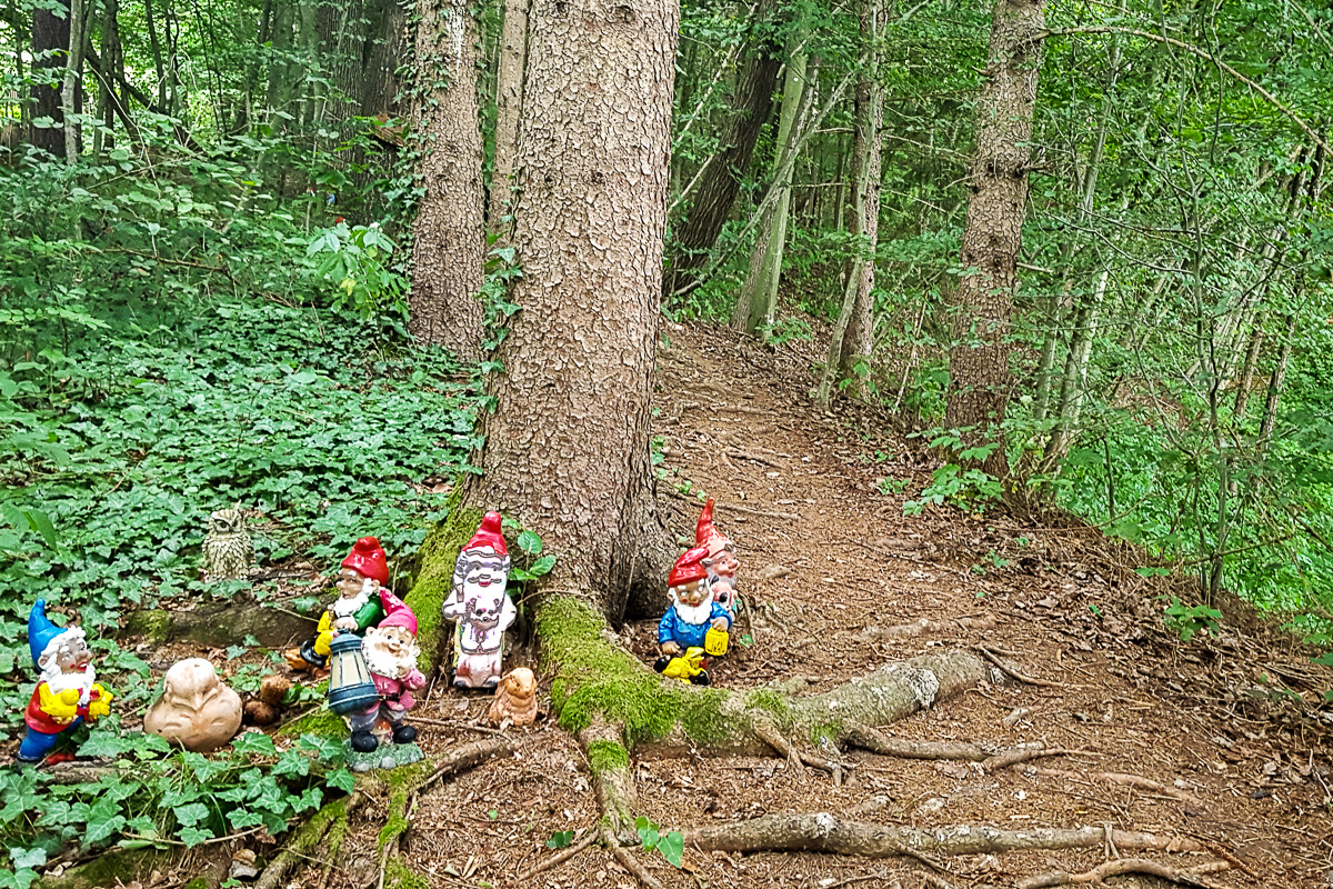 Am Zwergenweg im Schlosswald von Kornberg